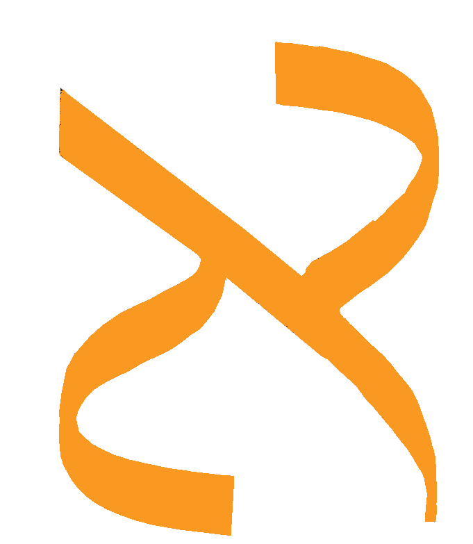 אלוף מחשבים